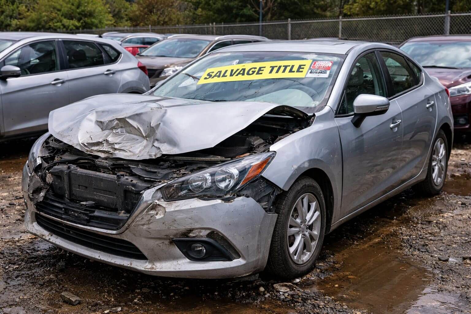 Branded Titles Explained: What Salvage, Rebuilt, Flood, Lemon, and Theft Labels Mean